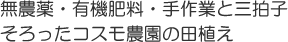 無農薬・有機肥料・手作業と三拍子そろったコスモ農園の田植え